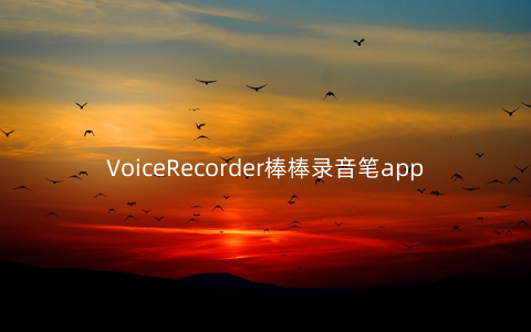 VoiceRecorder棒棒录音笔app3.2.2安卓版