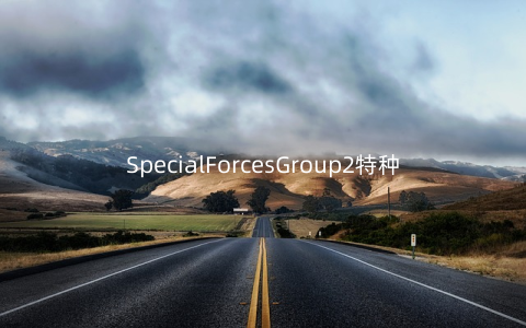 SpecialForcesGroup2特种部队小组2正式版v1.1安卓版