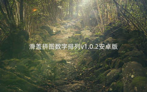 滑盖拼图数字排列v1.0.2安卓版
