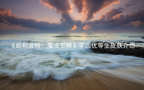 《哈利波特:魔法觉醒》学园优等生皮肤介绍