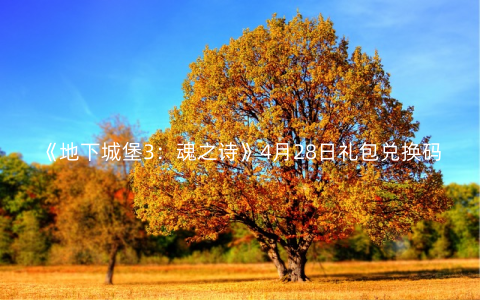 《地下城堡3：魂之诗》4月28日礼包兑换码2022