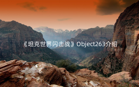 《坦克世界闪击战》Object263介绍