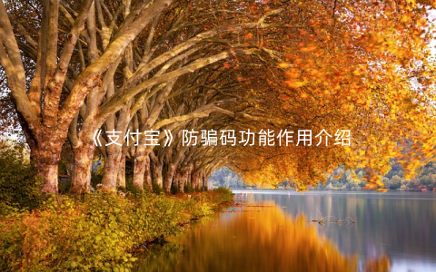 《支付宝》防骗码功能作用介绍