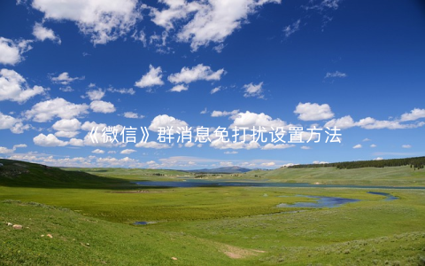 《微信》群消息免打扰设置方法