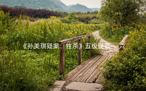 《孙美琪疑案：牲杀》五级线索——六