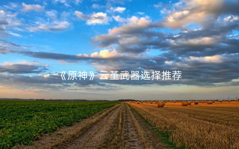 《原神》云堇武器选择推荐