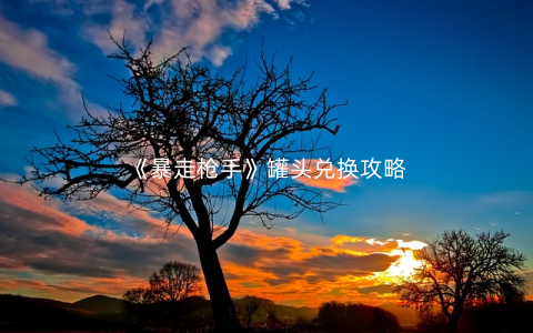 《暴走枪手》罐头兑换攻略