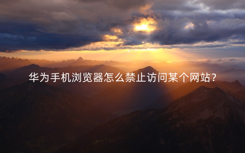 华为手机浏览器怎么禁止访问某个网站？