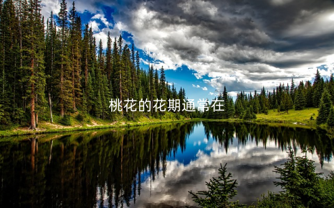 桃花的花期通常在