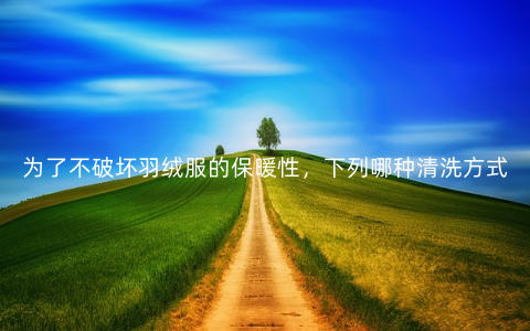 为了不破坏羽绒服的保暖性，下列哪种清洗方式更合适