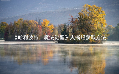 《哈利波特：魔法觉醒》火蜥蜴获取方法