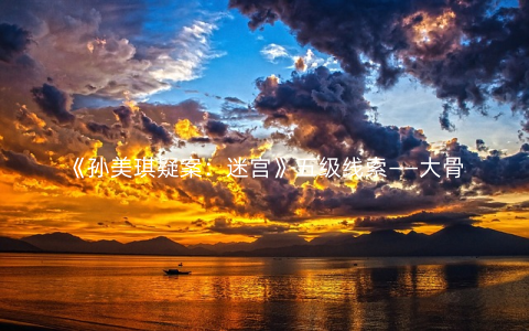 《孙美琪疑案：迷宫》五级线索——大骨