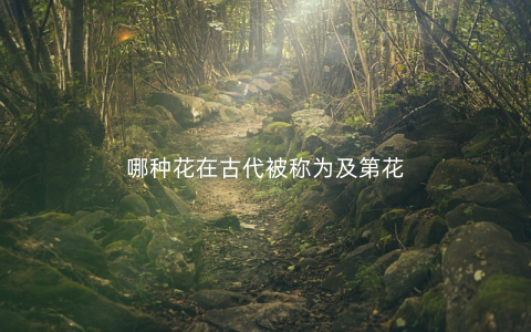 哪种花在古代被称为及第花
