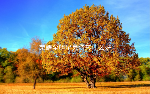 荣耀全明星鬼侍转什么好