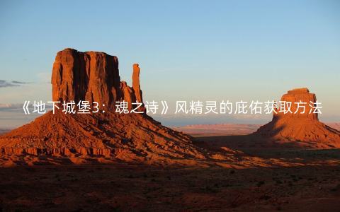 《地下城堡3：魂之诗》风精灵的庇佑获取方法