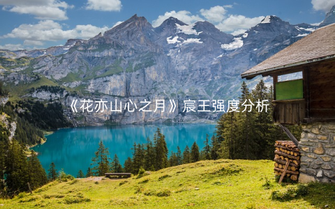 《花亦山心之月》宸王强度分析