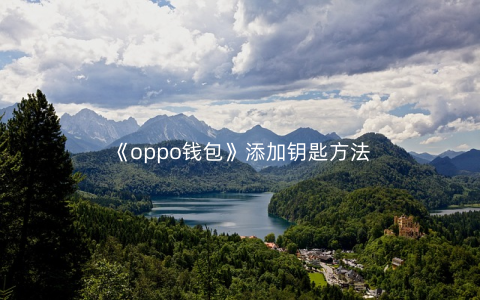 《oppo钱包》添加钥匙方法