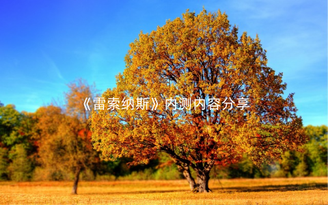 《雷索纳斯》内测内容分享