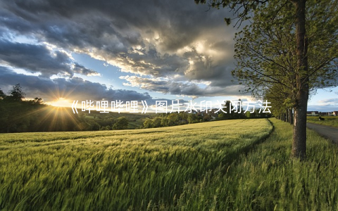 《哔哩哔哩》图片水印关闭方法