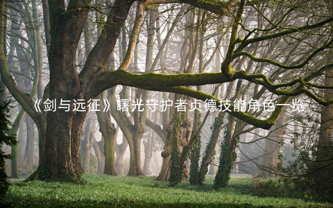 《剑与远征》曙光守护者贞德技能角色一览