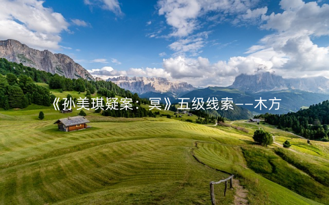 《孙美琪疑案：冥》五级线索——木方