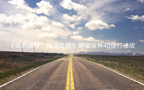《哈利波特：魔法觉醒》幽谧深林40层打法攻略
