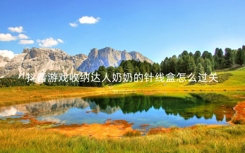 抖音游戏收纳达人奶奶的针线盒怎么过关