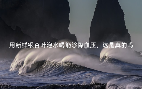 用新鲜银杏叶泡水喝能够降血压，这是真的吗