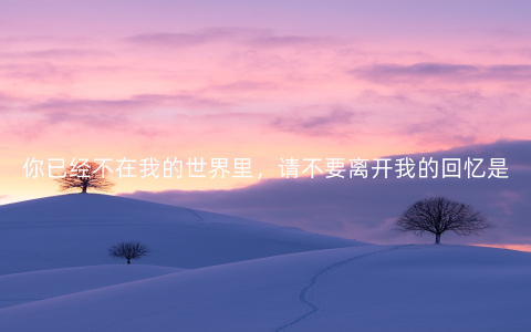你已经不在我的世界里，请不要离开我的回忆是什么歌
