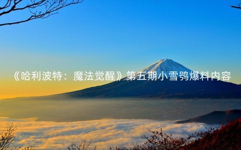 《哈利波特：魔法觉醒》第五期小雪鸮爆料内容一览