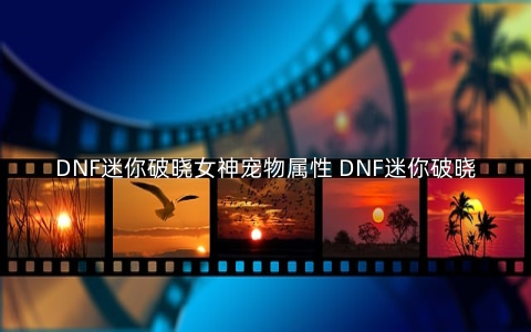 DNF迷你破晓女神宠物属性 DNF迷你破晓女神宠物介绍