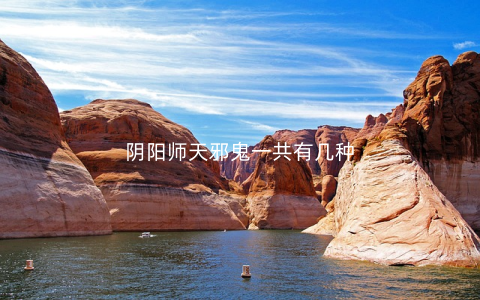 阴阳师天邪鬼一共有几种