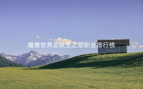 魔兽世界巫妖王之怒职业排行榜
