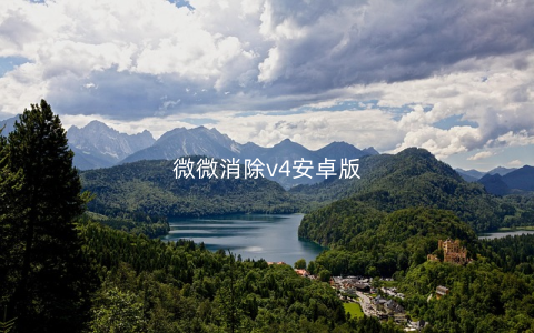 微微消除v4安卓版