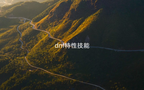 dnf特性技能