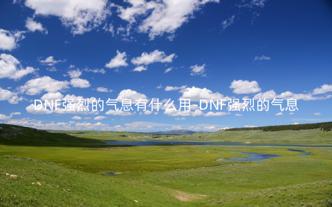 DNF强烈的气息有什么用-DNF强烈的气息作用