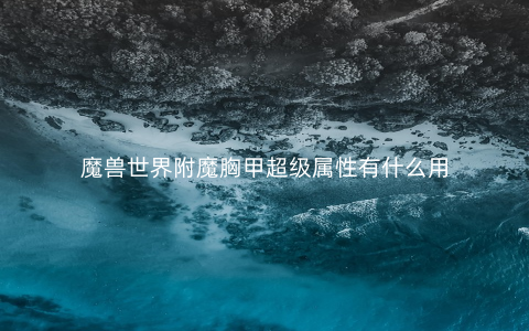 魔兽世界附魔胸甲超级属性有什么用