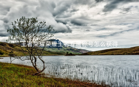 王者荣耀荣耀王者专属称号怎么获得