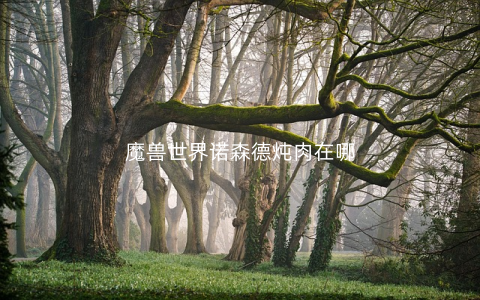 魔兽世界诺森德炖肉在哪