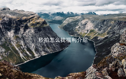 秒拍怎么找福利介绍