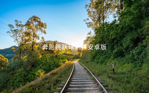 奔跑跳跃球v1.1安卓版