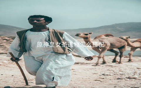 原神皇女圣遗物怎么搭配