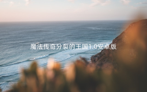 魔法传奇分裂的王国1.0安卓版