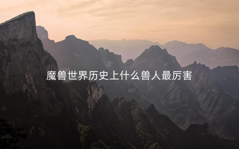 魔兽世界历史上什么兽人最厉害