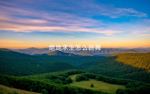绝地求生怎么跳舞