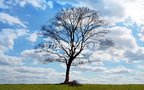 智力逃脱V3.4安卓版