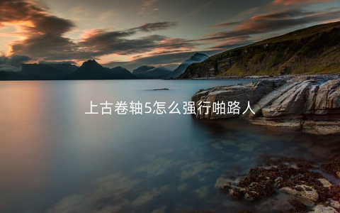 上古卷轴5怎么强行啪路人