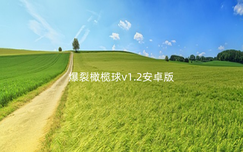 爆裂橄榄球v1.2安卓版