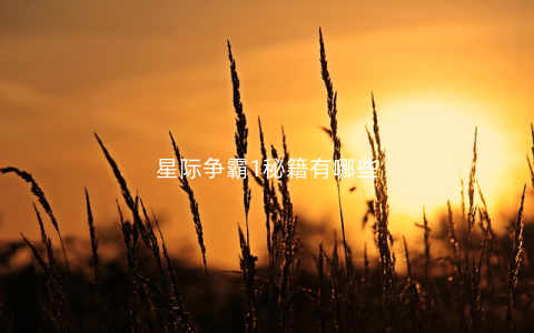 星际争霸1秘籍有哪些