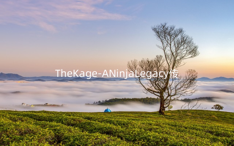 TheKage-ANinjaLegacy传奇忍者复仇v1.5安卓版